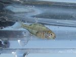 20061118_taikei01.jpg
